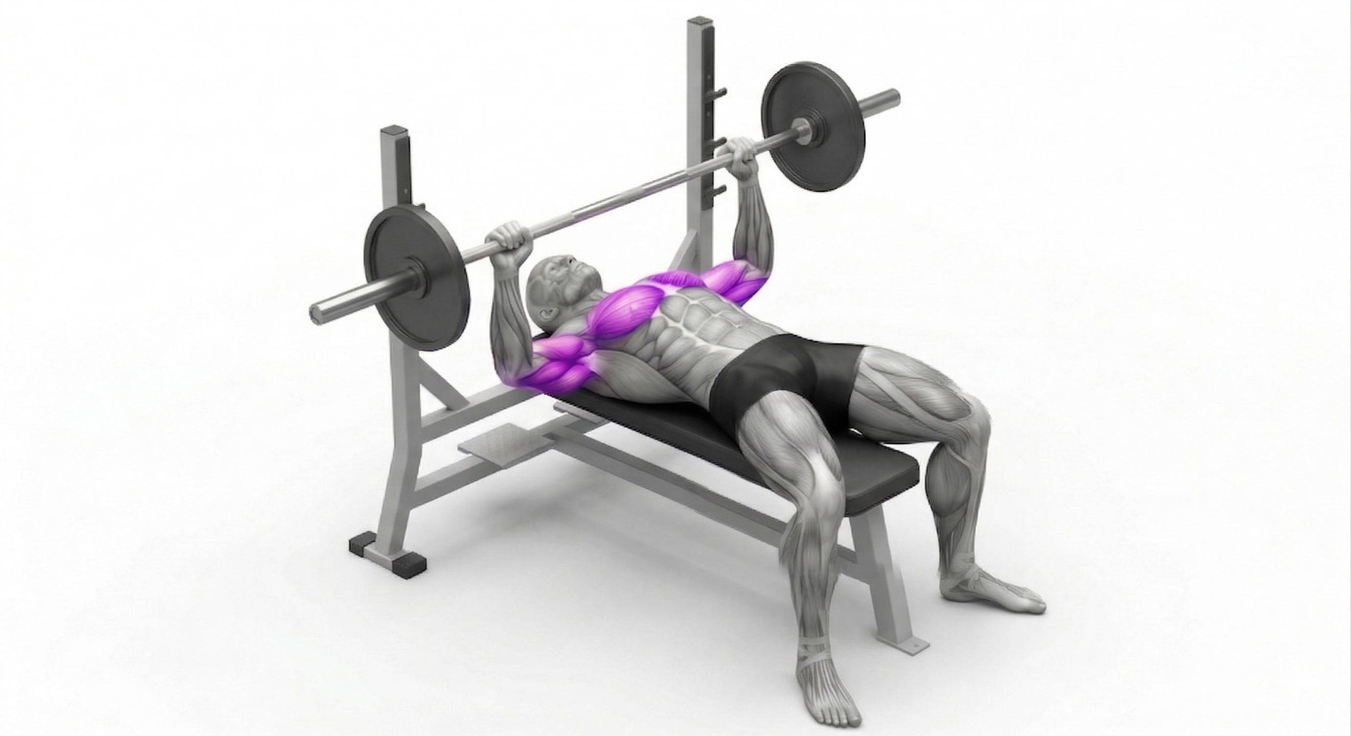 Imagen del ejercicio Press de Banca en AonLabs